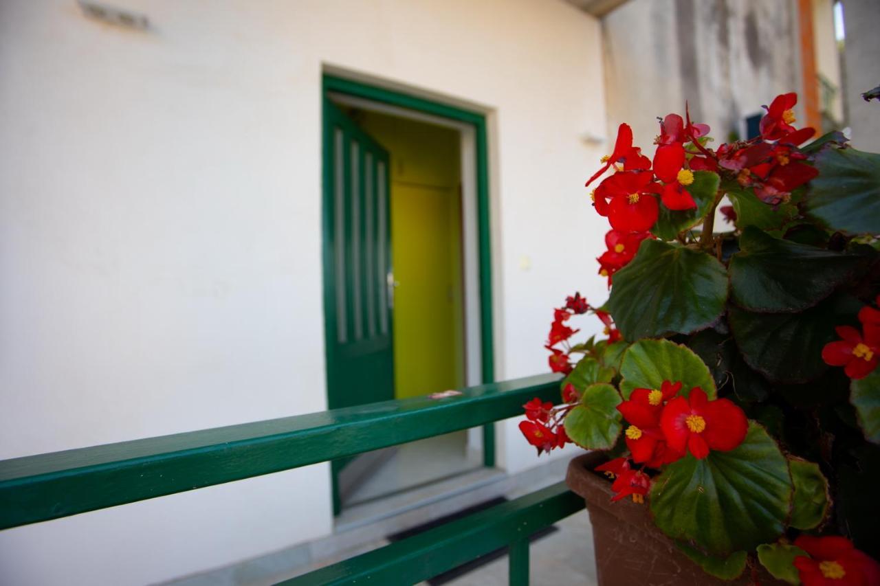 Apartment Nola Podgora Oda fotoğraf